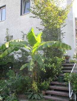 Wald-Kleinstadtrand, Seen, 20Min HWI, 30 SN, 45 HRO, 60 HL, 100HH. - Warin