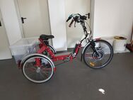 Elektro Dreirad für Erwachsene. - Haßfurt