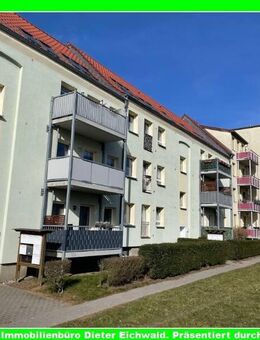 Kleine 2 Zimmer Wohnung in Sassnitz - Sassnitz