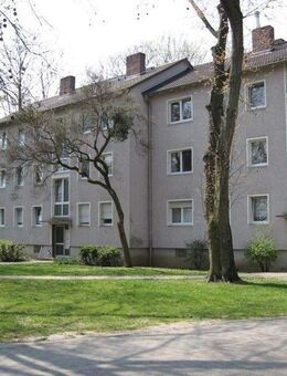 3 Zimmer Wohnung zu Vermieten - Wiesbaden