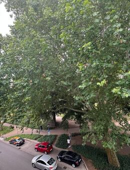 Wohnung in bester Lage von Lüneburg mit Fahrstuhl und Blick ins Grüne! - Lüneburg