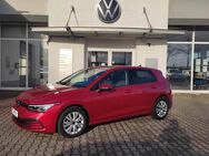 VW Golf, 2.0 TDI Life VW Golf 8 Life, Jahr 2020 - Annaberg-Buchholz