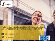 Elektroniker, Mechatroniker oder vergleichbar als Servicetechniker für Krananlagen (m/w/d) - Dettenheim