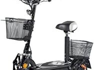 Rolektro Sitzscooter Rolektro E-Joy 20 Lithium, 20 km/h, (mit Schutzblech), mit Straßenzulassung, bis zu 45 km Reichweite, klappbar