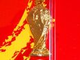 ⚽️⚽️⚽️ FIFA Schlüsselanhänger Fußball Pokal Key-Ring neu in 85092