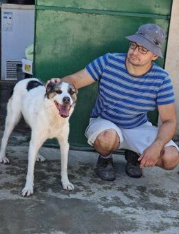 ♥️ OZMO ist ein großartiger sozialer 🐕 - München