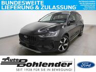 Ford Focus, , Jahr 2023 - Kandel