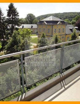 Traumlage direkt am Küchengarten! 1-Raum Whg. mit Terrasse, Aufzug & EBK in Untermhaus! - Gera