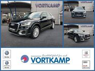 Audi Q2, 30 TDI design, Jahr 2019 - Gronau (Westfalen)