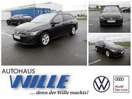 VW Golf Variant, 2.0 TDI Golf VIII Life, Jahr 2020 - Wernigerode