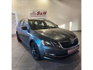 Skoda Octavia Combi 1,5TSI Style NAVI AAC Tempo PDCv+h - Halberstadt