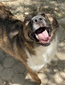 FERICITA heißt Freude - Konstanz