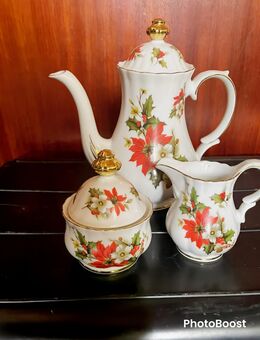 Weihnachtsensemble,3teilig, Christrose - Lübbecke