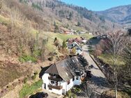 Idyllische, helle 3-Zimmerwohnung - Leben, wo andere Urlaub machen - Münstertal (Schwarzwald)