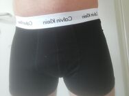 getragende Boxershorts / Calvin Klein - Recklinghausen