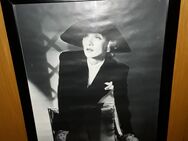 Poster Marlene Dietrich - Rösrath