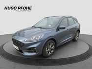 Ford Kuga, 1.5 ST-Line EcoBoost 110kW, Jahr 2023 - Oldenburg (Holstein)