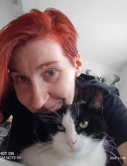 Tierliebe Vermieter gesucht! - Hösbach