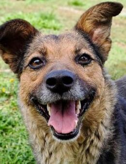 Sportliche Kuschelmaus COSMINA, 3 Jahre - München