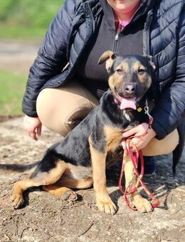Wer verliebt sich in die pfiffige Lola ? - Dortmund