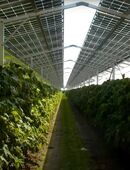 Umwelt-Projekt mit hoher Rendite auf der Insel Martinique in 88142