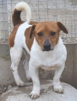 Marcel sucht einfühlsame Menschen - Niedereschach