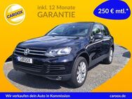 VW Touareg V6 TDI NAVI LEDER AHK - Wildau