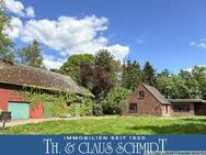 Umgeben von Wald & Wiesen! Ihr neues Landhaus mit gr. Scheune - Jade