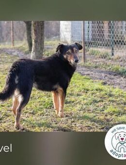 Level: Liebenswert und zurückhaltend - Kirchzell