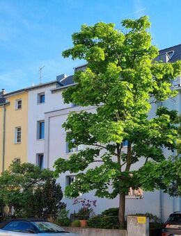 Kapitalanlage, saniertes und geteiltes Mehrfamilienhaus mit 4 ETW im begehrten Wohnviertel Köln-Ehrenfeld. - Köln