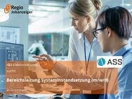 Bereichsleitung Systeminstandsetzung (m/w/d) - Grünstadt