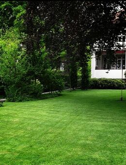 Biete Gartenhilfe Gartenpflege Rasen mähen Hecke schneiden Pflasterreinigung - Öhringen