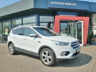 Ford Kuga, 1.5 Ecoboost Titanium (-5368) EPH VO HI WINTERPAKET, Jahr 2017 - Weinböhla