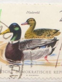 DDR-Briefmarken Tiere (1)  [382] - Hamburg