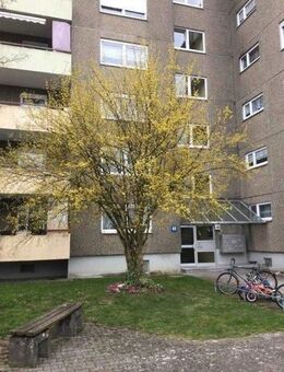 Neu-renovierte 3 Zimmer-Wohnung nur mit passendem Wohnberechtigungsschein - Ulm