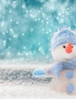 Ein neues Zuhause für 2026 - Schöneck (Vogtland)