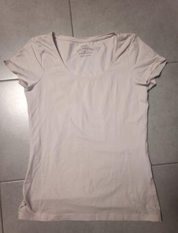 Damen-T-Shirt zu verkaufen *Größe 38* (ungetragen) - Walsrode
