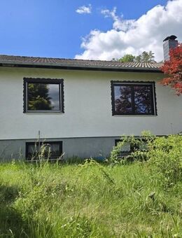 Gemütliches Haus im Grünen - Erbach (Hessen)