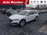 Skoda Octavia, 2.0 TDI Combi Scout Columbus, Jahr 2021 - Marktredwitz