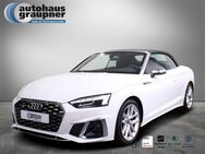 Audi S5, 3.0 TFSI quattro Cabriolet, Jahr 2023 - Brandis