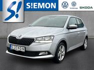 Skoda Fabia, 1.0 MPI Cool Plus, Jahr 2020 - Lengerich (Nordrhein-Westfalen)