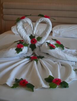 Putzfrau / Haushaltshilfe im privaten Haushalt gesucht - Berlin Reinickendorf