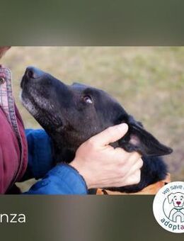 Gonza Bewegungs-Fan sucht Nähe - Kirchzell