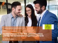 Sachbearbeiter/in für den Jahresabschluss und das Fördermittelmanagement (m/w/d) - Wolfenbüttel