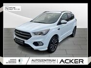 Ford Kuga, 2.0 TDCi ST-Line, Jahr 2018 - Marburg