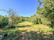 Landwirtschaftliche Wiese oder Garten in Bad Soden! - Bad Soden (Taunus)