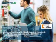 Werkstudent (m/w/d) / Praktikant (m/w/d) mit Anschließender Abschlussarbeit im Bereich Vertriebsstrategie - Fulda
