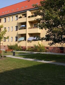 Wohngenießer aufgepasst! Schicke 3-Zimmer Wohnung in der Curiesiedlung - Magdeburg