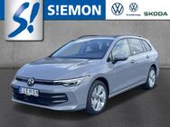 VW Golf Variant, 1.5 TSI neues Mod Life LEDPlus, Jahr 2024 - Warendorf