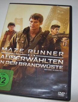 Maze Runner - Erwitte
